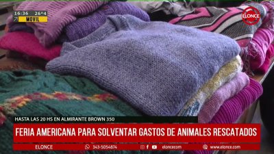 Feria americana para solventar gastos de animales rescatados
